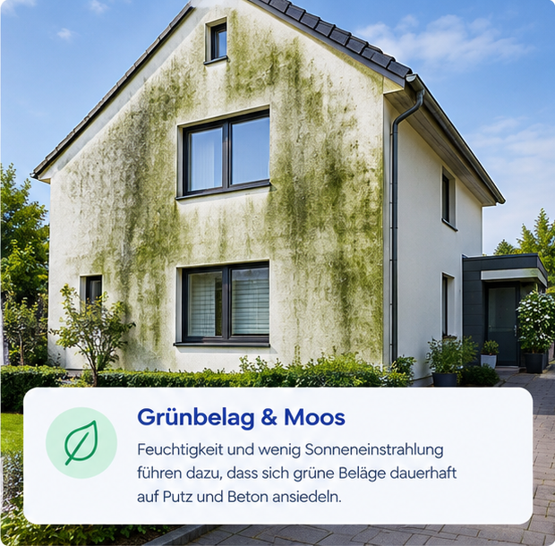 Grüner Belag auf einer Hauswand