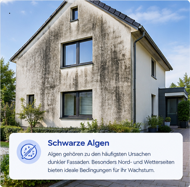 Schwarze Algen auf einer Fassade